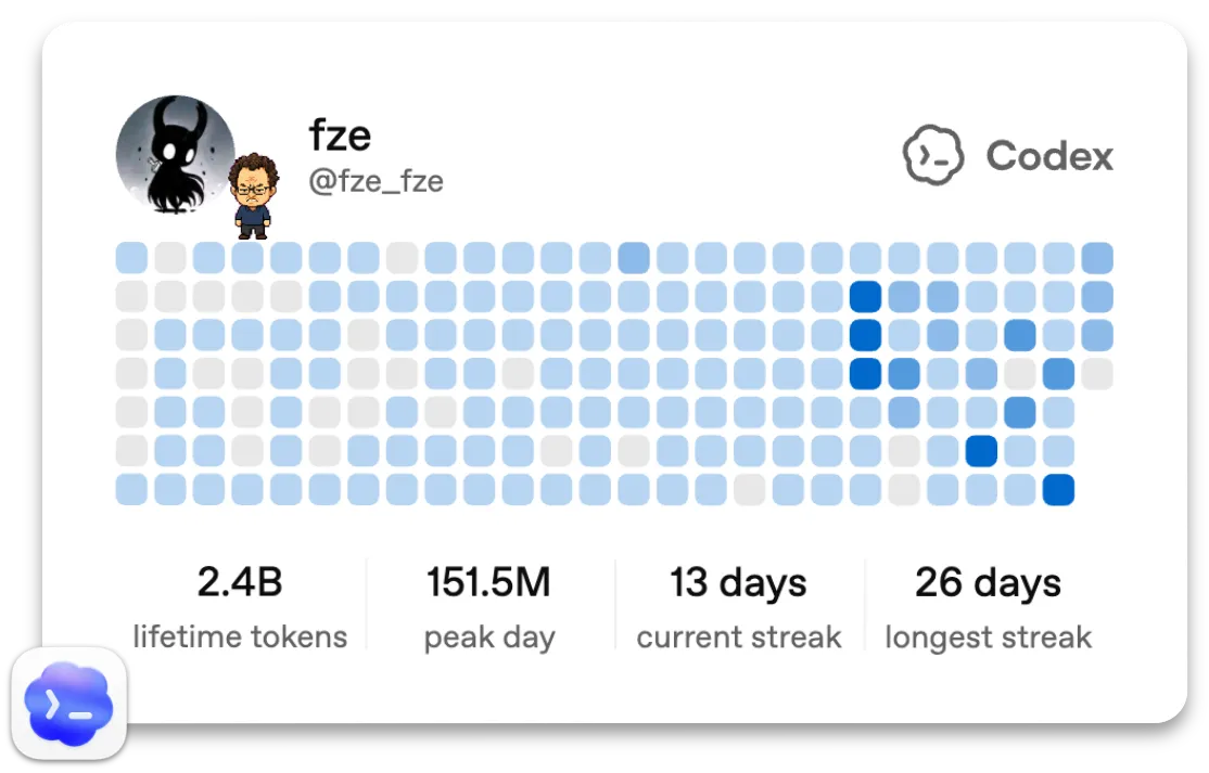 My codex usage profile.